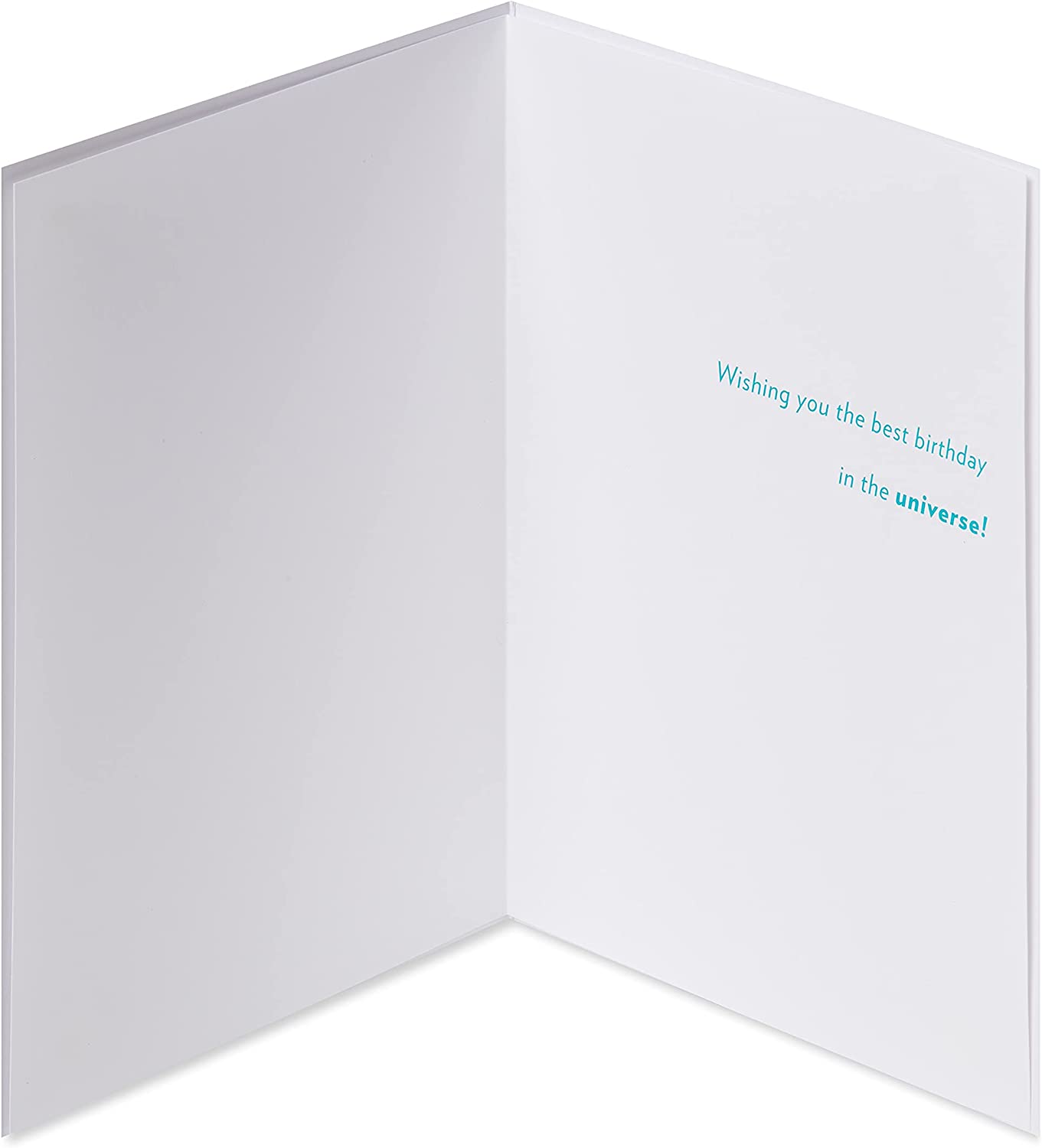 Papyrus Funny Cat Birthday Card (Indulge) - Image 2